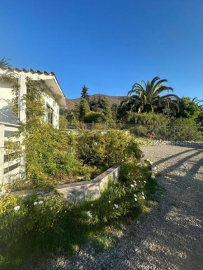 House in privileged place